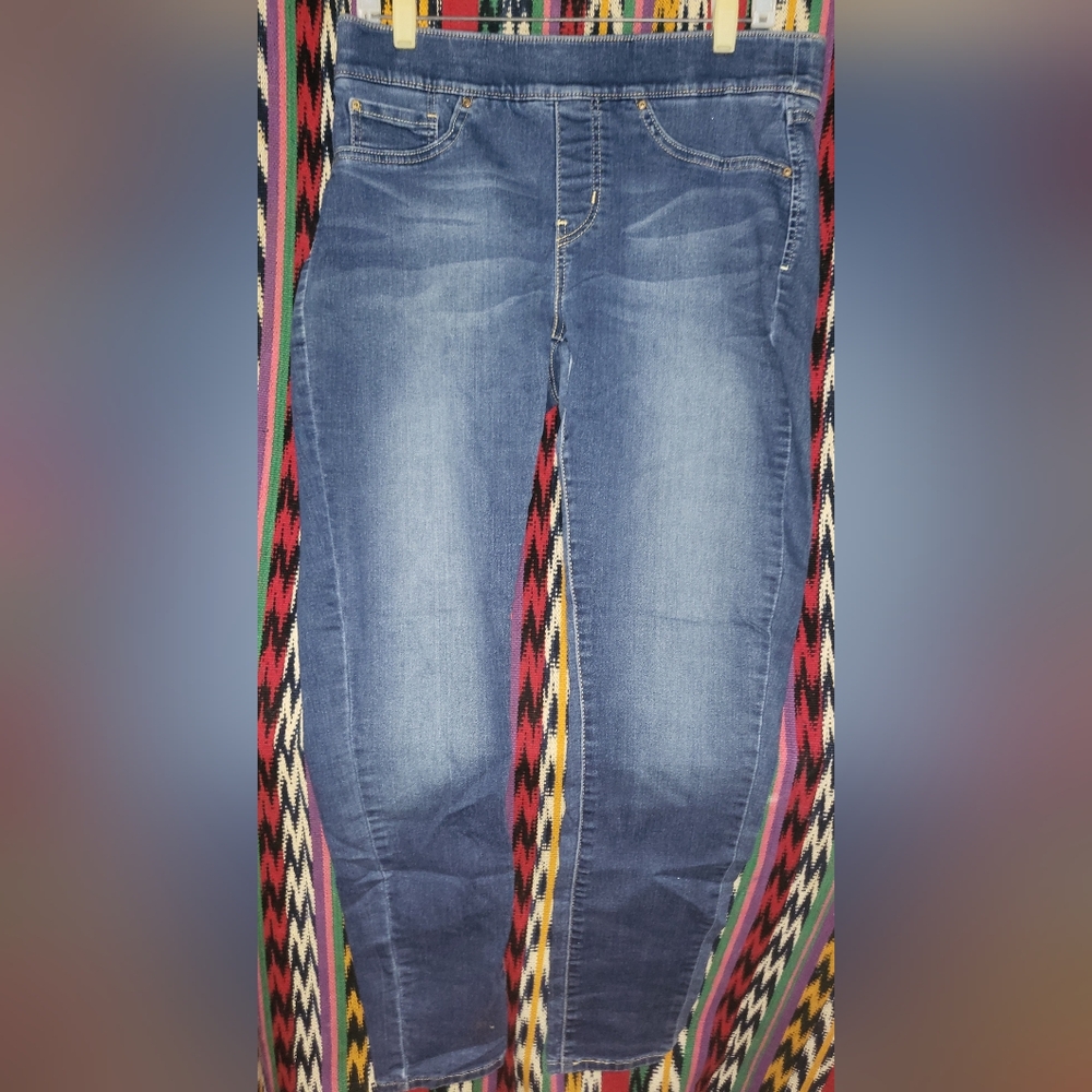Signature by Levi Strauss Totally Shaping Pull-On Skinny Jeans 14 Long 32W 34L